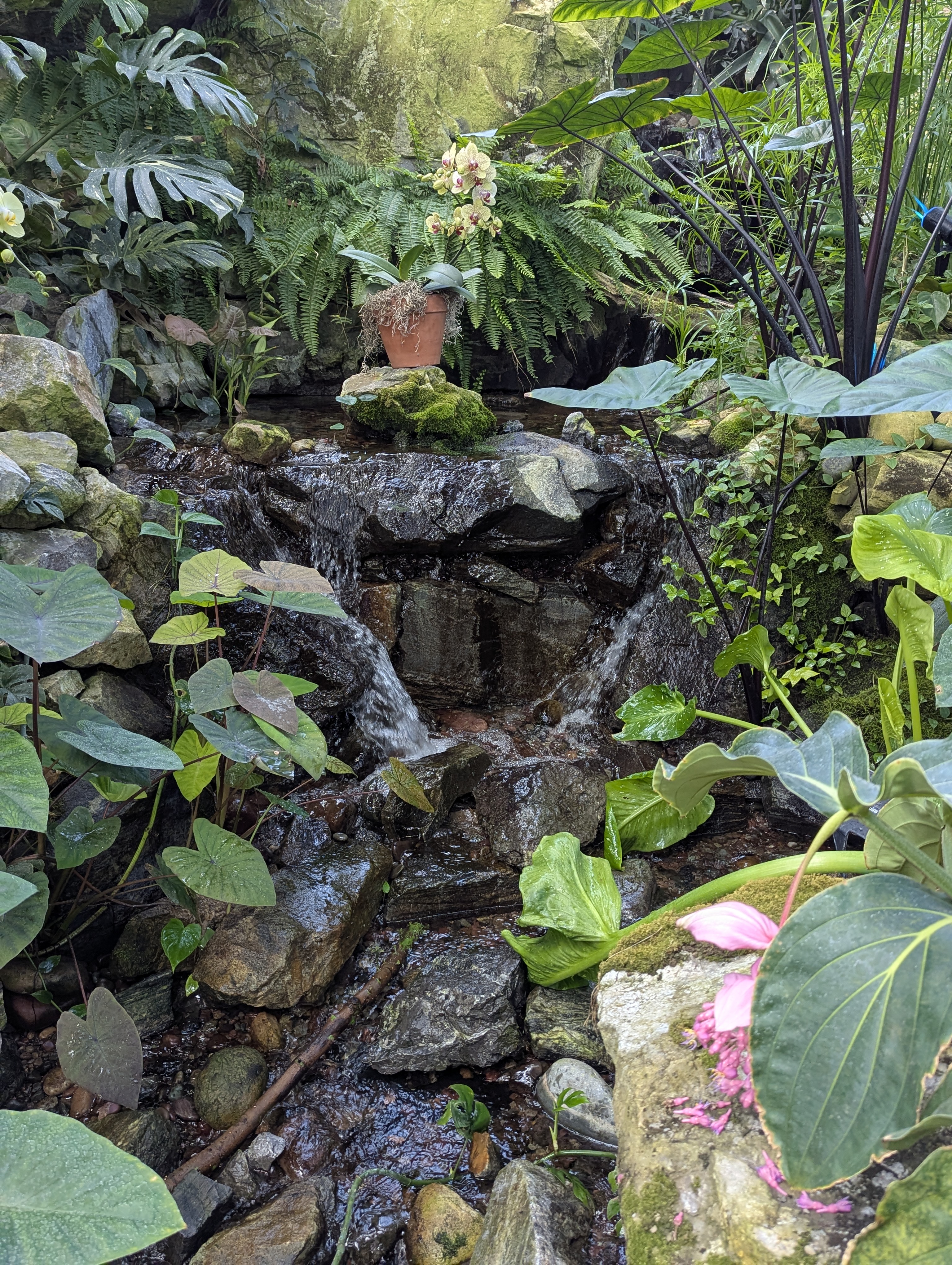 Birthday Trip to Canada, Edmonton, Pyramids, Muttart Observatory